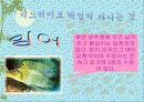 연못에 사는 동물(생물) 17페이지