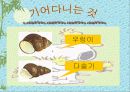 연못에 사는 동물(생물) 20페이지