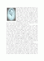 [사범/법학] 동학농민운동 [분석/조사] 5페이지