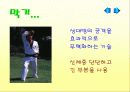 태권도 수업지도안 10페이지