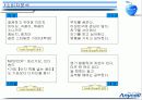 삼성애니콜 광고기획서 16페이지