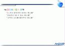 삼성애니콜 광고기획서 22페이지