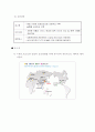 이벤트사업 25페이지