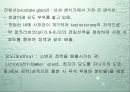 성과 건강 10페이지