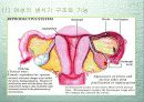 성과 건강 14페이지