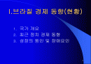 한국과 브라질 2페이지