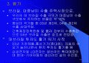 한국과 브라질 15페이지