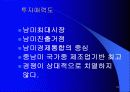 한국과 브라질 16페이지