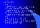 한국과 브라질 24페이지