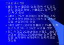 한국과 브라질 25페이지