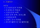 한국과 브라질 27페이지
