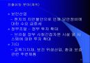 한국과 브라질 31페이지