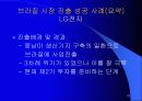 한국과 브라질 34페이지