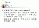 단백질 정량 분석 5페이지