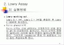 단백질 정량 분석 13페이지