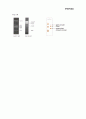 DNA의 제한효소 절단과 전기영동(Electrophoresis) 7페이지
