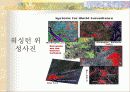 공원녹지와 도시열섬 4페이지