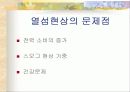 공원녹지와 도시열섬 9페이지