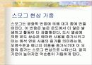 공원녹지와 도시열섬 11페이지