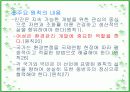 공원녹지와 여성 3페이지