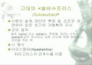 인도수학 11페이지