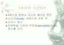 인도수학 13페이지