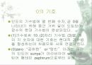 인도수학 20페이지