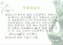인도수학 25페이지