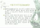 인도수학 28페이지