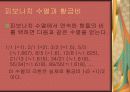 황금비 제논의 역설 유클리드원론 5페이지