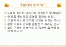 수학사[마방진 A4용지 테셀레이션]      25페이지