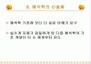 19세기 수학자 17페이지