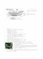 거북선에 관한 고찰 5페이지
