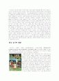 한국 농구의 역사 14페이지