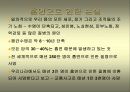 담배와 건강 12페이지