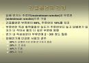 담배와 건강 42페이지