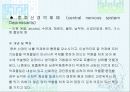약물 오남용과 건강 13페이지