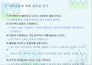 약물 오남용과 건강 28페이지