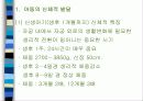 육아에 대하여 8페이지
