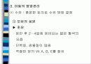 육아에 대하여 43페이지