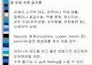 육아에 대하여 49페이지