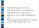 육아에 대하여 53페이지
