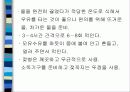 육아에 대하여 60페이지