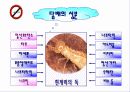 흡연의 폐해 9페이지