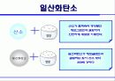흡연의 폐해 14페이지