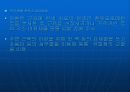 VDT증후군과 건강 13페이지