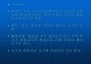 VDT증후군과 건강 20페이지