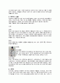 한국문화유산의 이해 11페이지