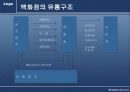 변화하는 유통구조 7페이지