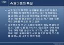 변화하는 유통구조 10페이지